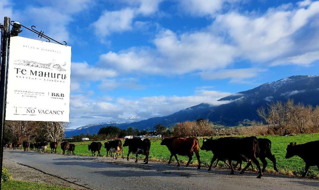 Te Mahuru Retreat Kaikoura Exterior photo